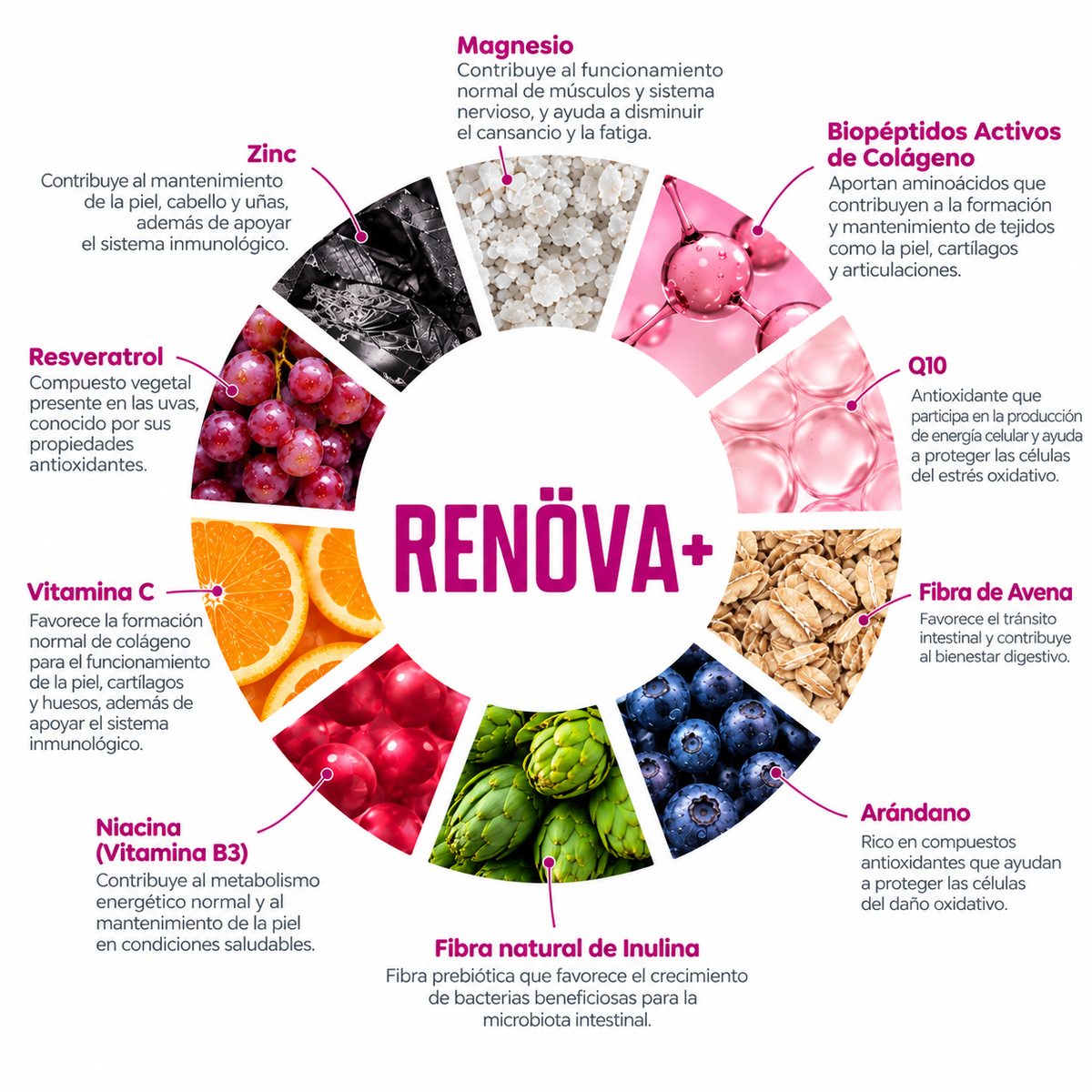 RENOVA+: Dosis de juventud diaria