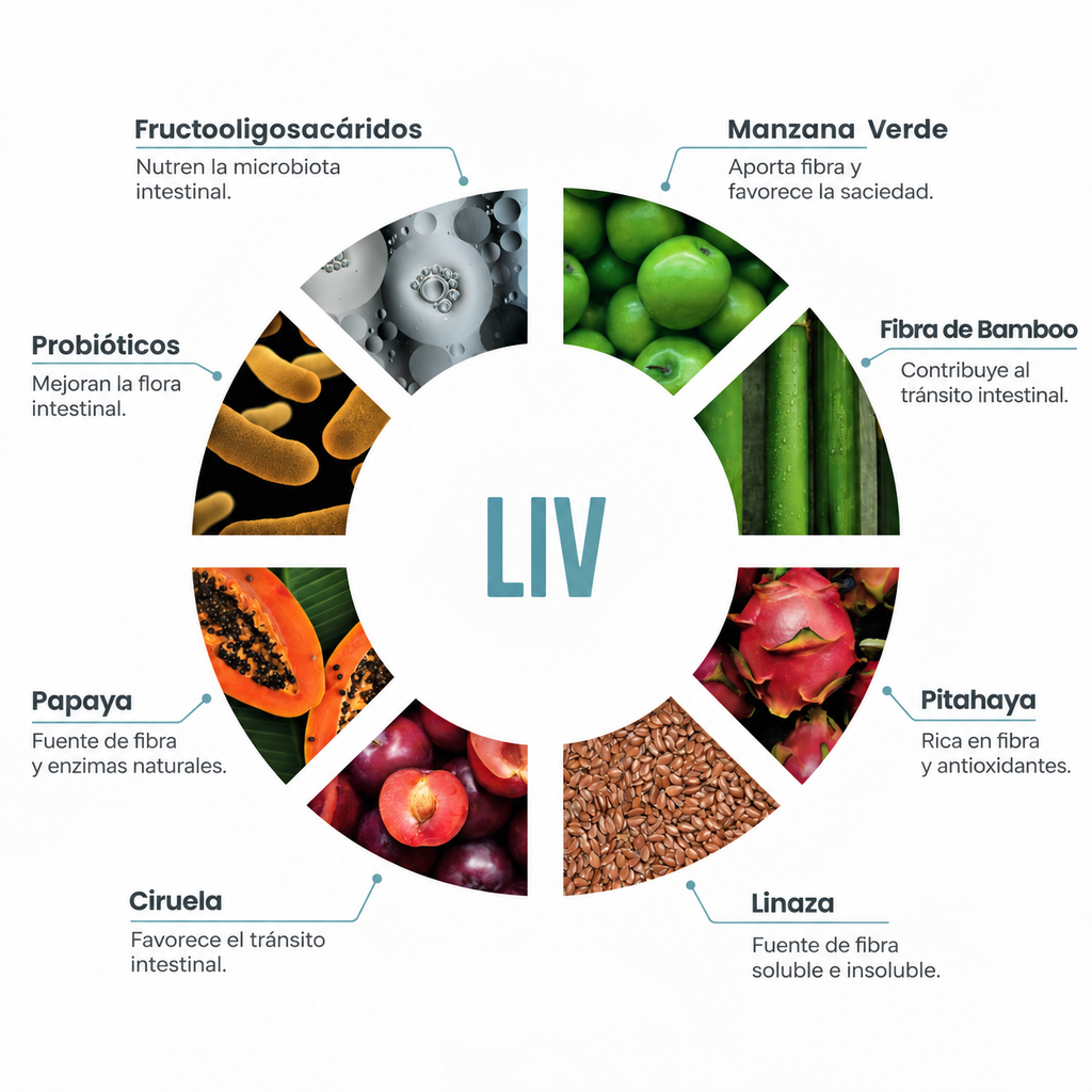LIV: Ligereza Digestiva y Bienestar desde el Interior