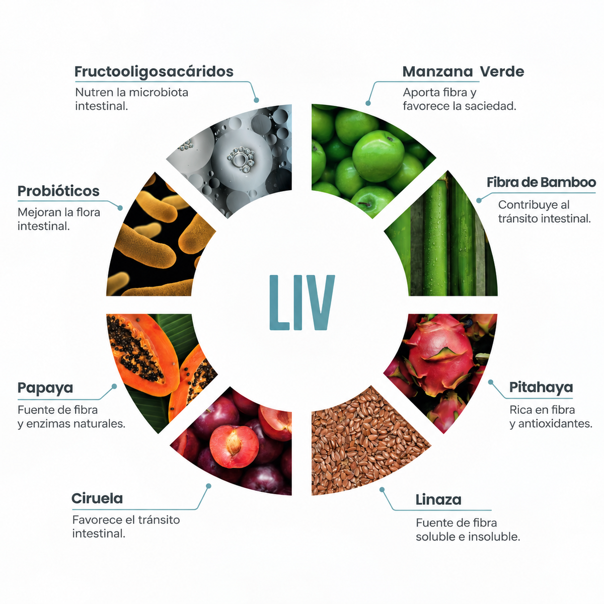 LIV: Ligereza Digestiva y Bienestar desde el Interior