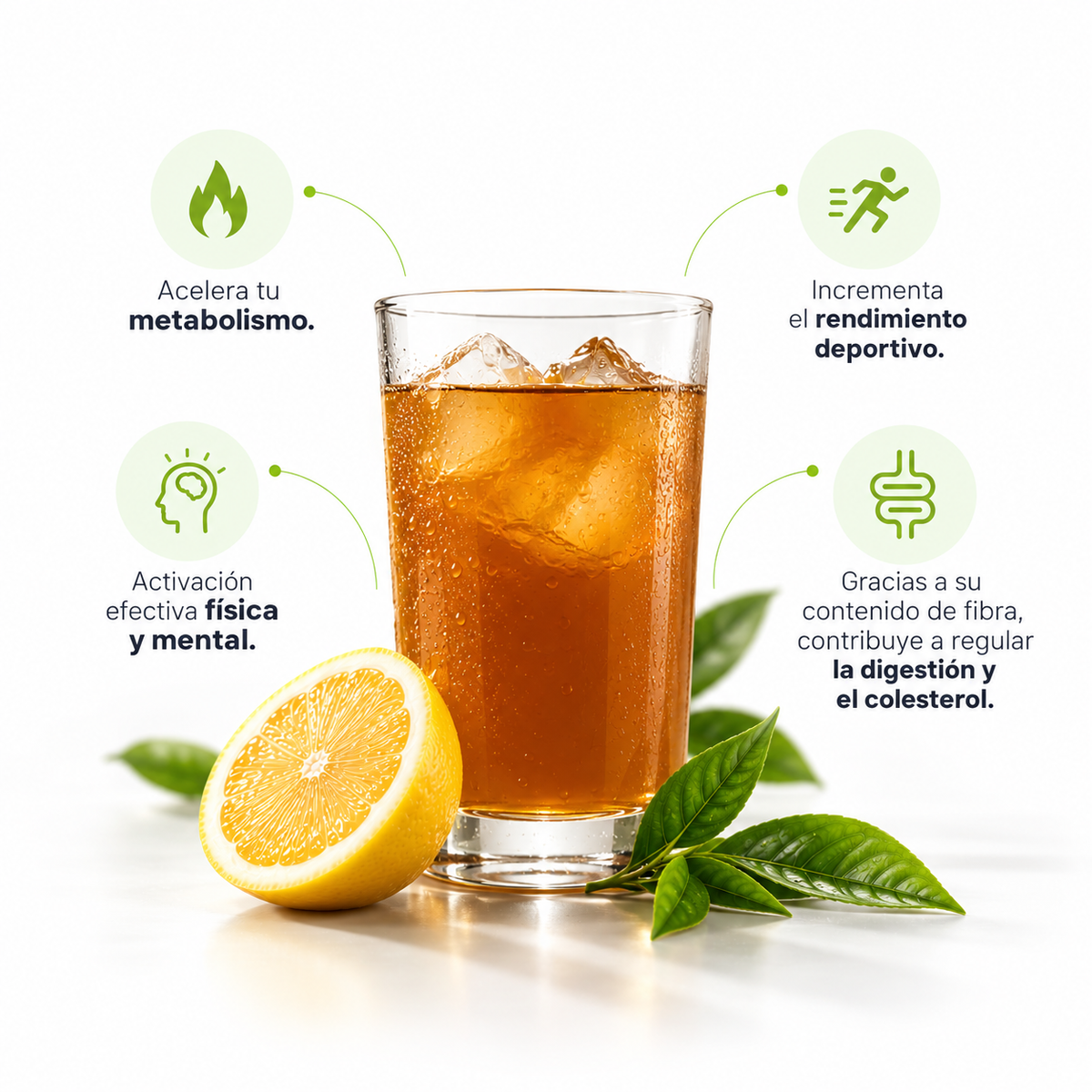24BURN: Reduce y activa todos los días.